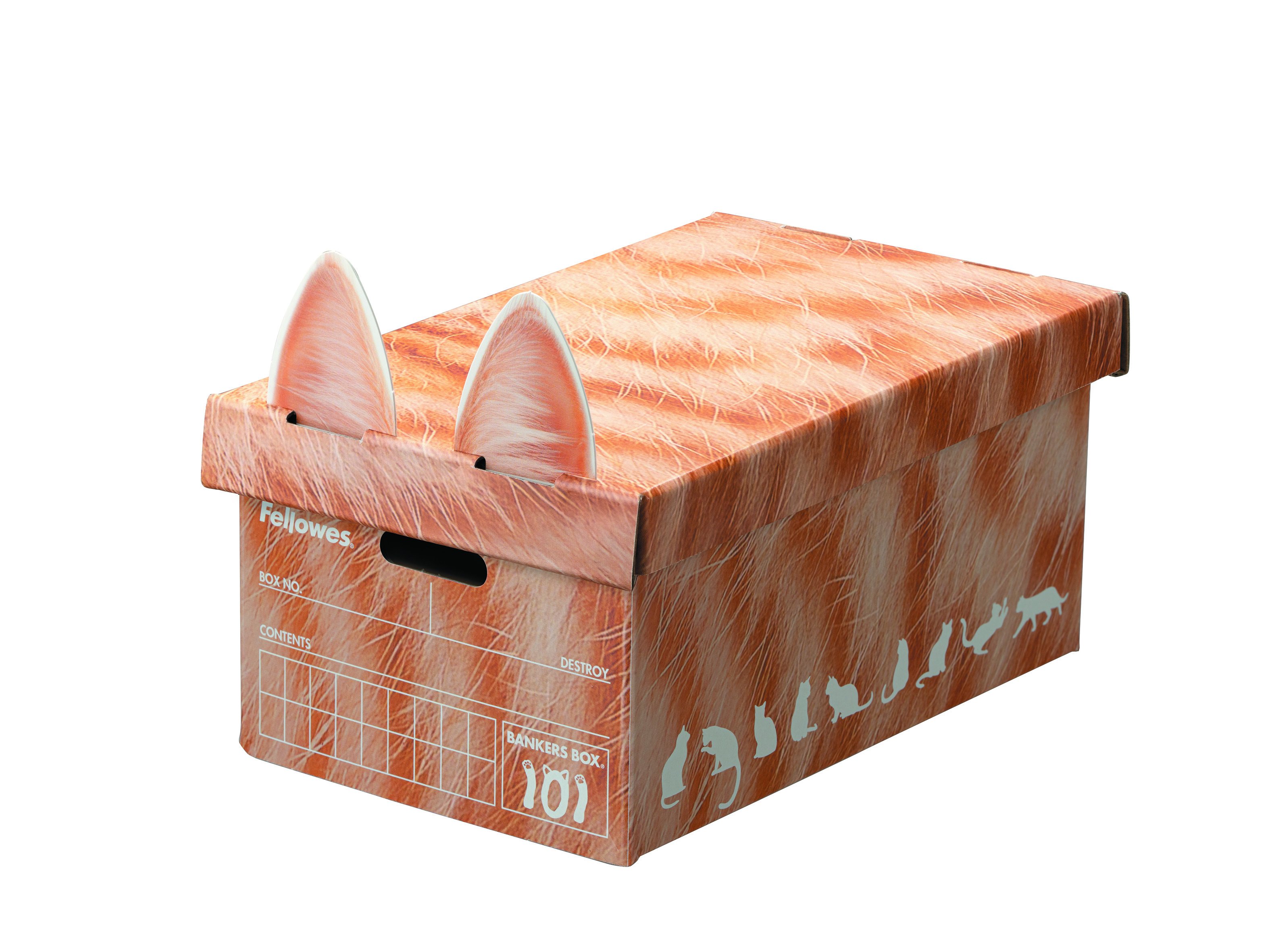 101ボックス 猫柄 茶トラ 1枚パック