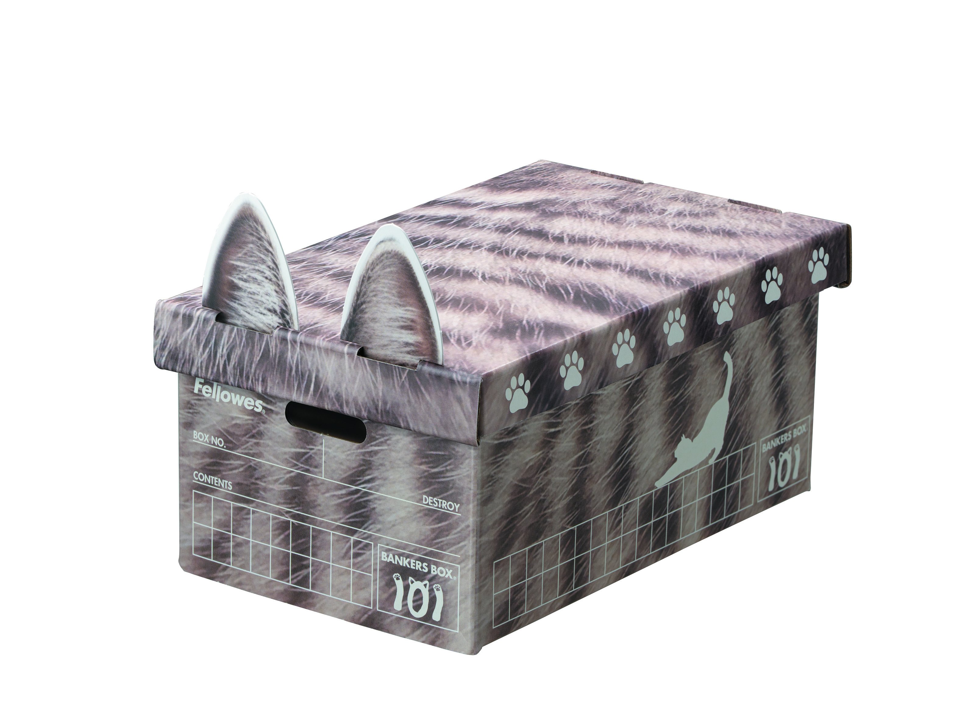 101ボックス 猫柄 キジトラ 1枚パック