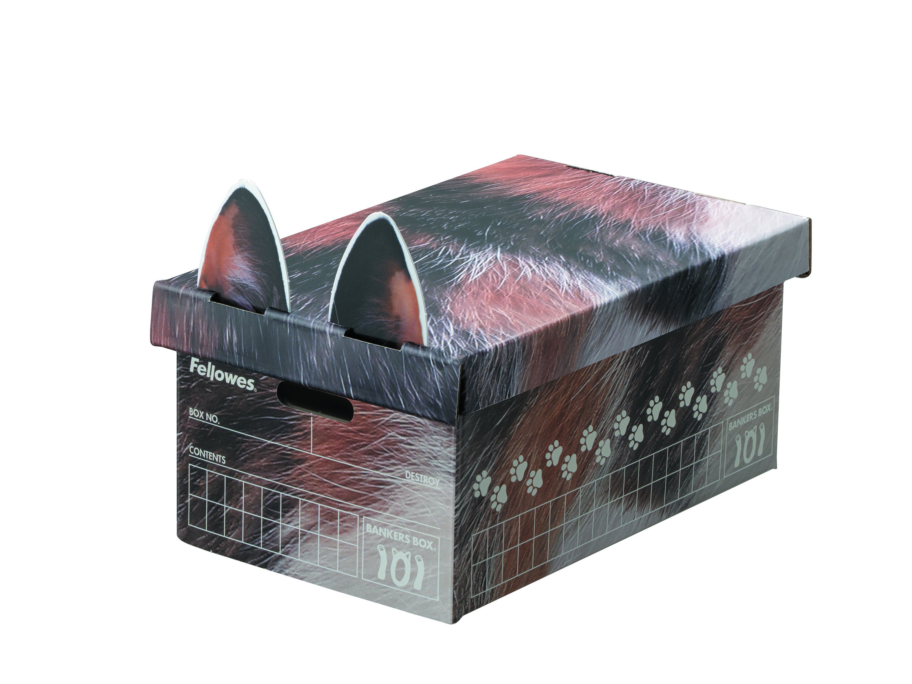 101ボックス 猫柄 三毛猫 1枚パック