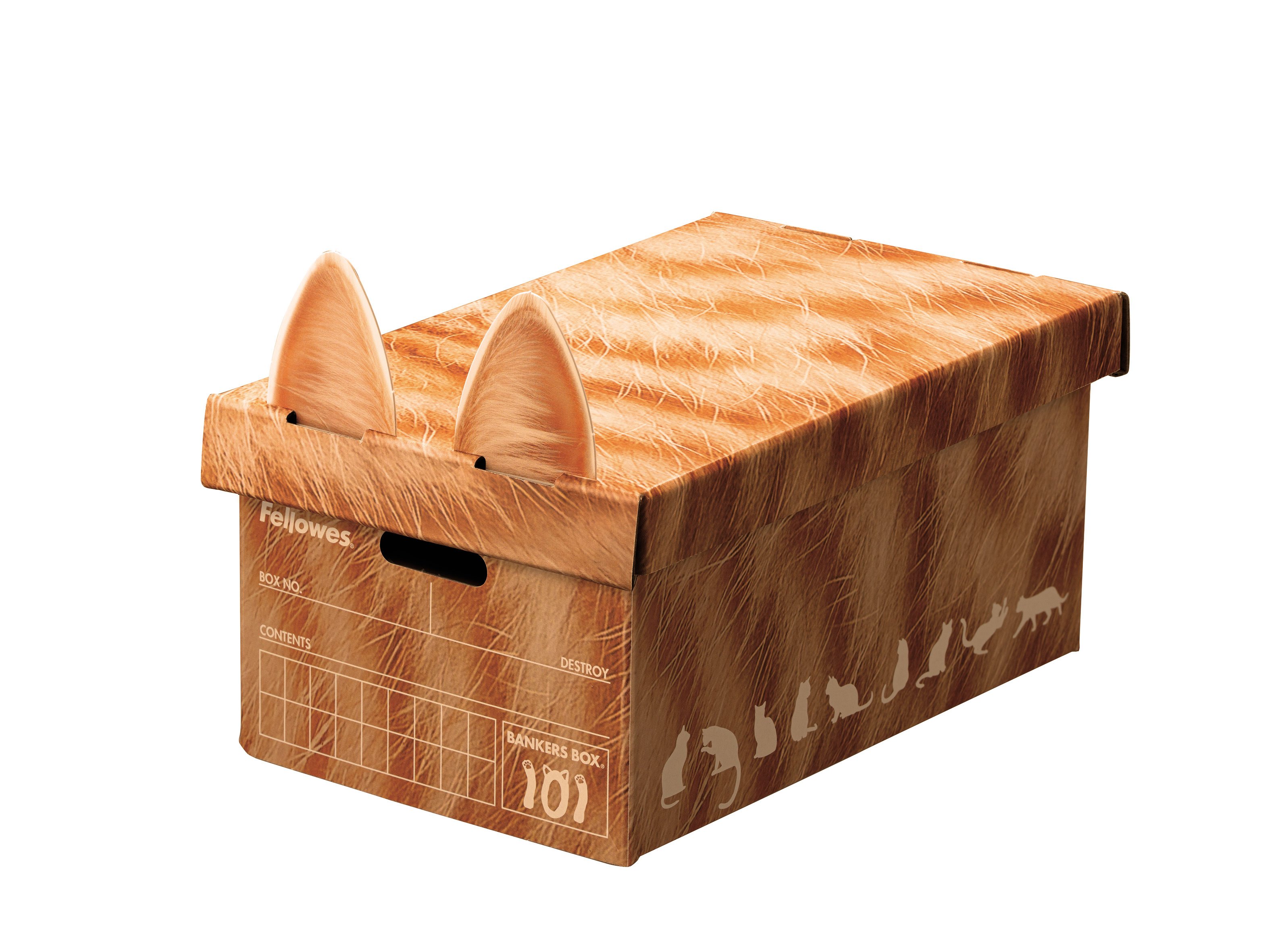 101ボックス 猫柄 茶トラ 1枚パック