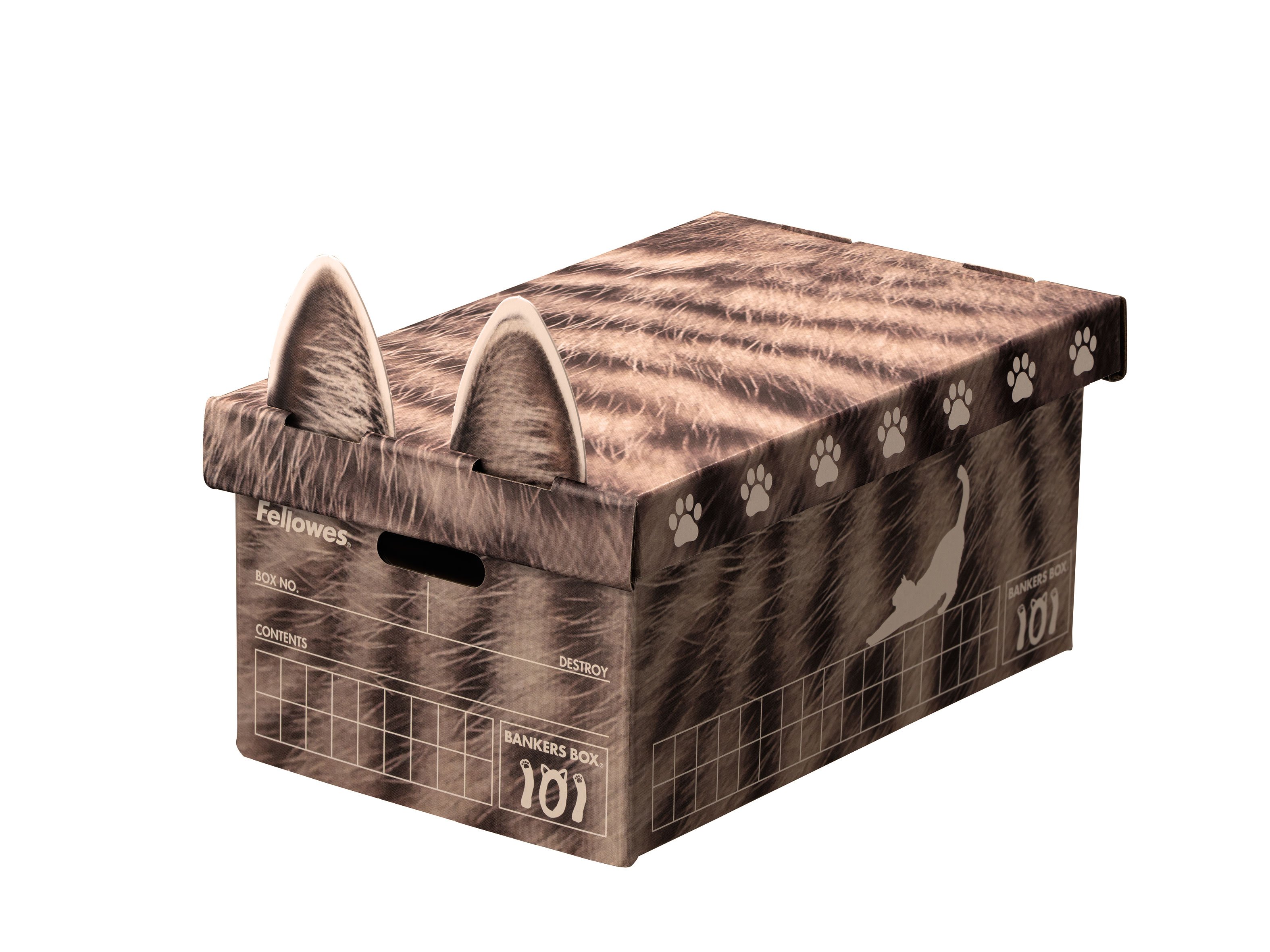 101ボックス 猫柄 キジトラ 1枚パック